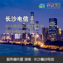 Changsha Lugu Telecom Server Hosting 1U2U10M20M50M100M Exclusive 100 Mega Sharing