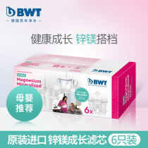 BWT brand zinc and magnesium growth filter 3pcs 6pcs