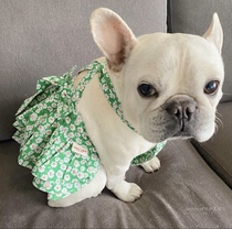 Fardou Summer Clothes Skirt Bagbrother Vest Pendant With Skirt Pets Dog Dog Leash Dress Thin Dress Dress