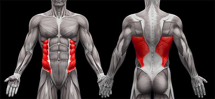 idaban.cn),核心肌群训练法,3步打造稳健体魄11