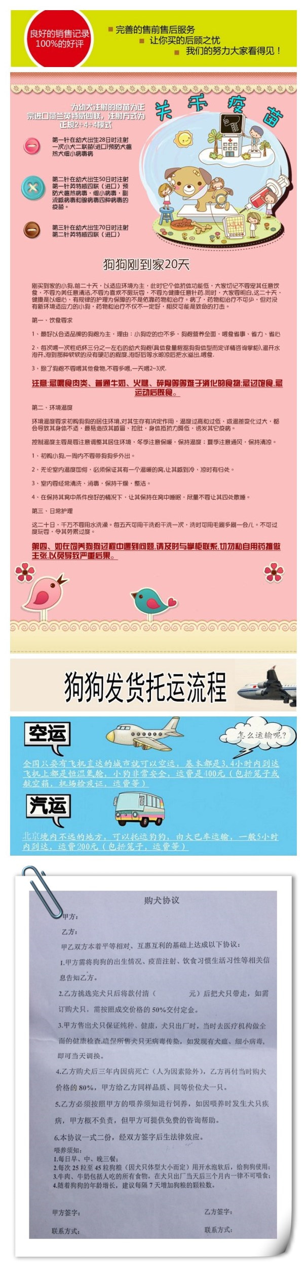 精品大丹 保纯保健康 完美售后 质量三包 可签协议