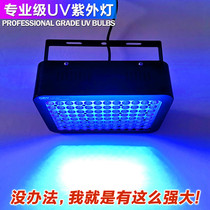 UV curing reflector Super concentrated UV UV glue glass Acrylic green oleoresin bonding curing lamp
