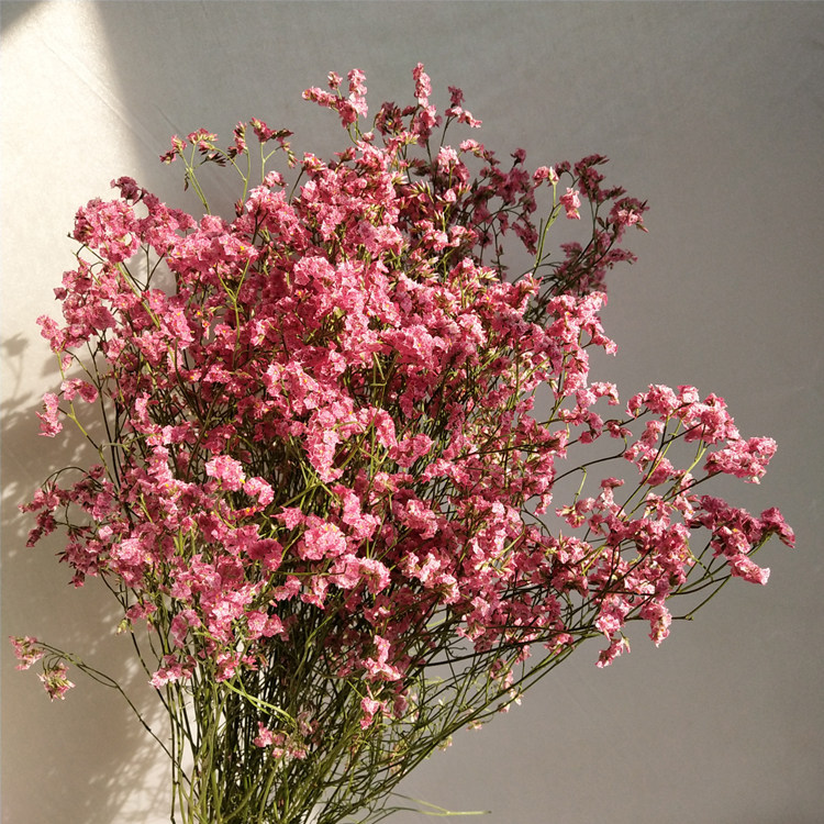 买一斤送一斤云南斗南干花基地直销促销干花花束生日礼品