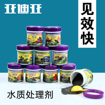 ADA ya di ya water quality stabilization lan rou spirit fish-eye clear yang long ling head hole spirit chang yan ling protection fairy white net