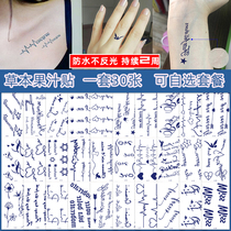 Herbal Juice Tattoo tattooed semi permanent waterproof persistent female emulation lovers English letter plants not reflective stickers