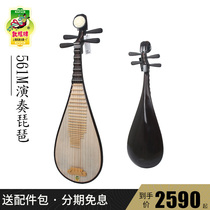 Dunhuang Biwa 560M 561 Biwa Iron Pear Wood Intermediate Performance Biwa (Dunhuang Boutique)