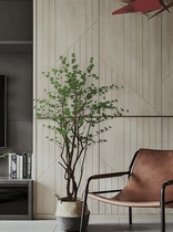 Horse fake Nordic wind landing home lazy green plant decorated Japanese horse drunk wood real branch simulation tree plant