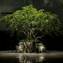 Simulated plant decoration of Northern Europe light luxury landscape large banyan tree fake tree lobby landed simulated tree plant
