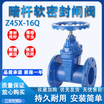 New Z45X dark rod elastic seat seal soft sealing flange gate valve ductile iron paint fire water valve