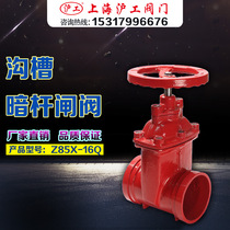 Shanghai Hugong Valve Z85X-16Q Ductile iron soft seal groove dark bar fire gate valve DN50 60 80