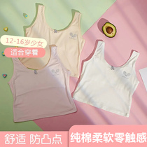 Adolescent vest female student underwear anti-bump girl developmental girl bra primary school student cotton bandeau