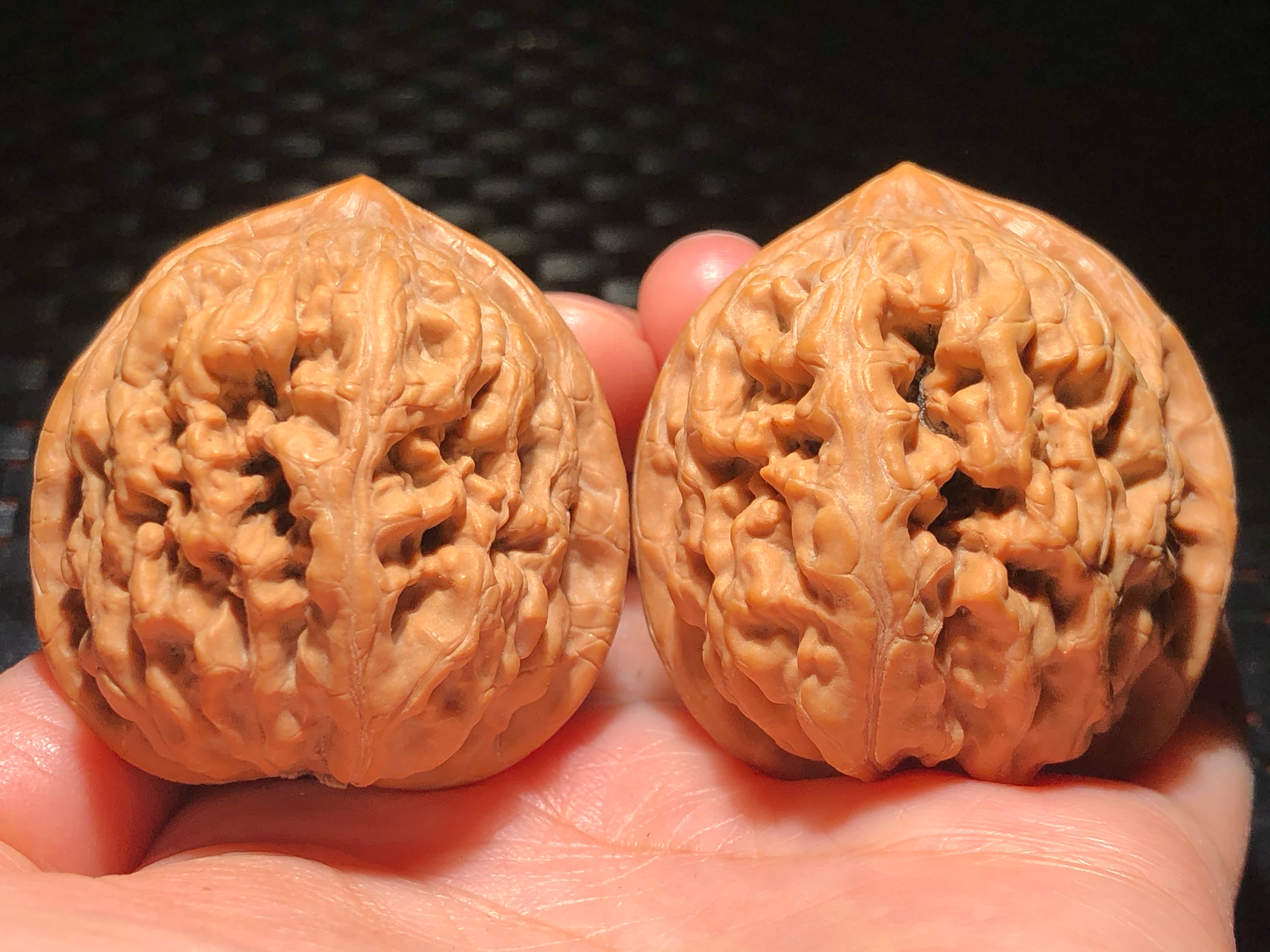 核核美美文玩核桃40.8纯野生小众凤凰台狮子头精品收藏级a612