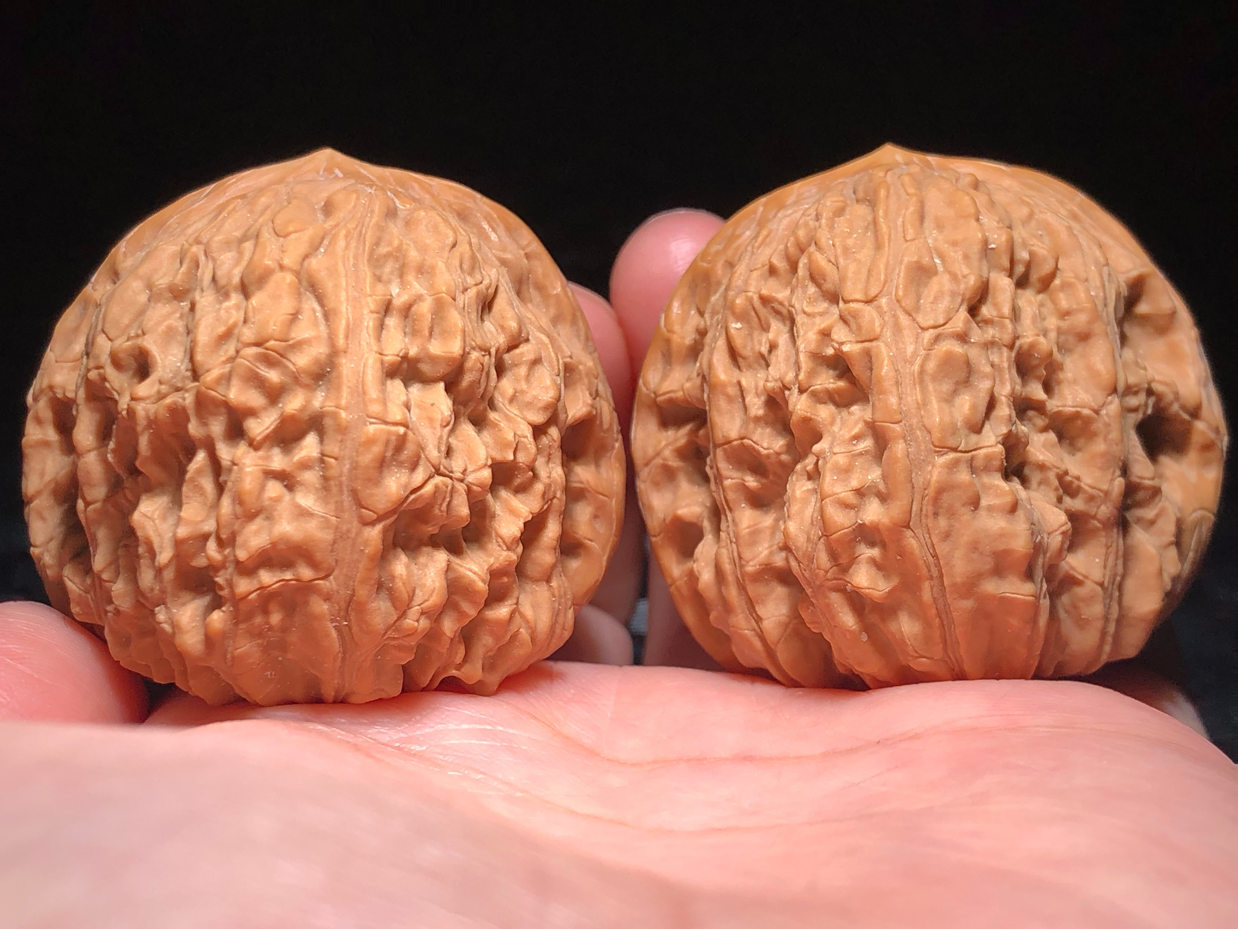 核核美美文玩核桃野生小众宽城高欢八方狮子头精品收藏级a475