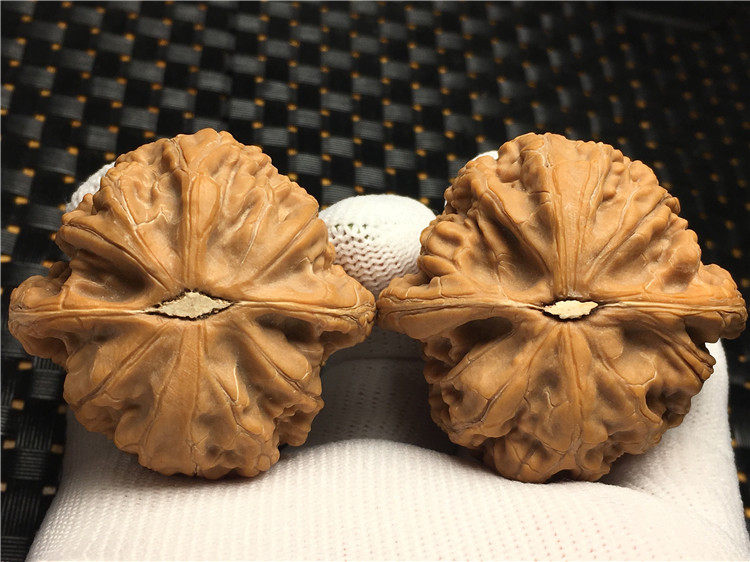 2019鉴赏文玩核桃之美——45.0mm小众龟甲纹玄武狮子头—a288