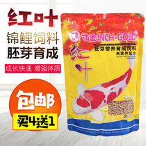 Inch Gold Red Leaf Ornamental Fish Brocade Carp Feed 500g Spirulina Color Enhancement Goldfish Fish Grain Brocade Carp Tropical Fish Fish Food