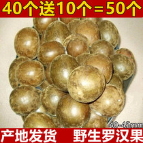 50 wild grosvenori Guangxi Guilin Yongfu special production and throat tea independent packaging dried fruit flower tea tea tea cold tea