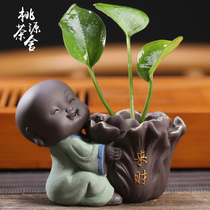 Green dill hydroponic plants creative cute little monk flower ware tea pet ornaments decorative tea table table tea set flower pot