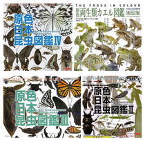 YUJIN twist egg primary color Japanese insect three-dimensional picture book 1 2 3 4 bomb tiger shrimp butterfly simulation insect