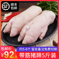 Fresh frozen pork trotters with tendons short pig feet about 5 pig claws 5 pounds fresh pig trotters barbecue household multi-province