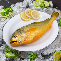 1 kg of 1 rhubarb fish fresh rhubarb fish live sea fish frozen whole box of seafood and aquatic products whole rhubarb fish