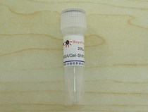 EMSA Gel-Shift binding buffer (5X) GS005 Biyuntian biological Beyotime