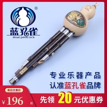 Hulusi Musical Instrument Blue Peacock Cucurbit Purple Bamboo Performance Type c Down B Tone Student Beginner Professional Performance