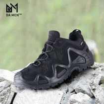 LOWA Zephyr GTX LO TF tactical boots outdoor hiking shoes waterproof low-top hiking shoes Men Outdoor