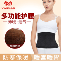 Warm waist cashmere wool waist female cold belt belly adult stomach protection belly postpartum warm stomach wear