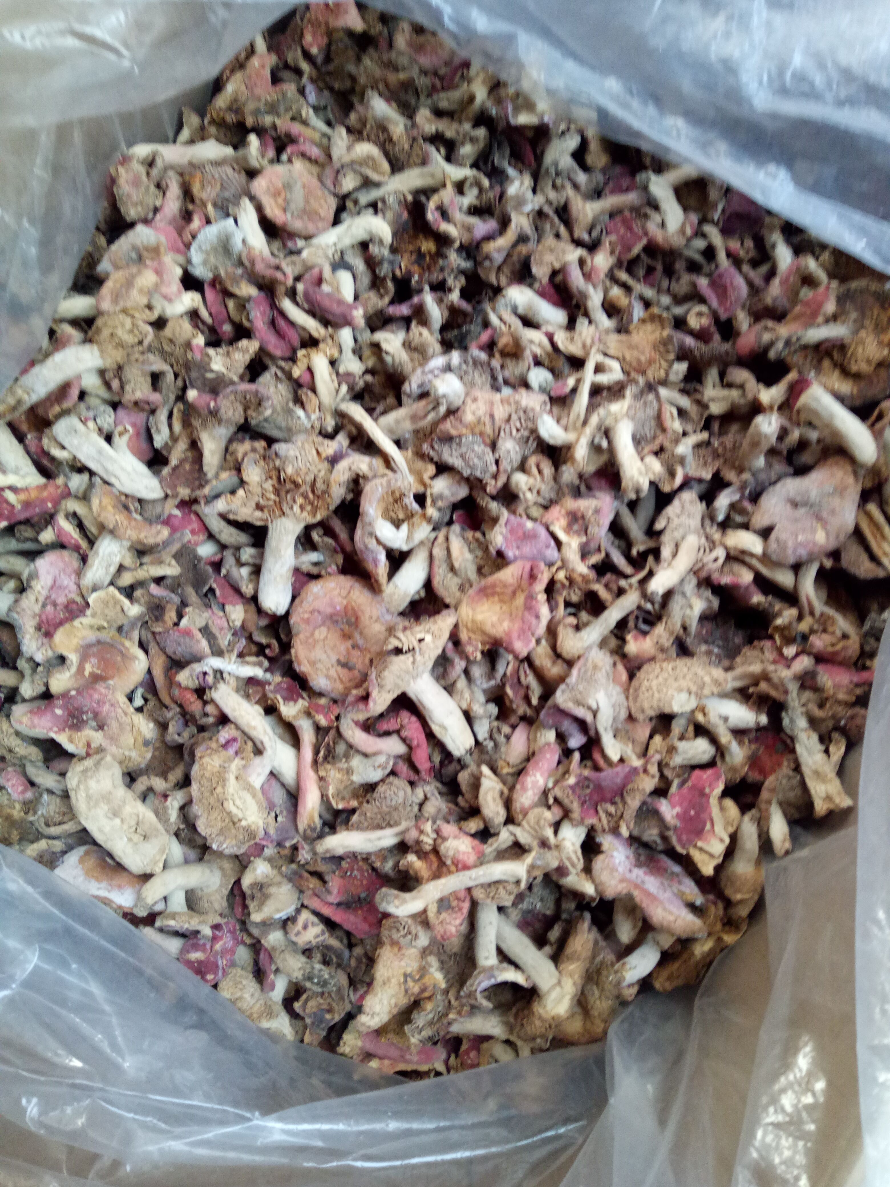 菌菇边角料碎片 菌柄 杂菌红菌红菇杂菇