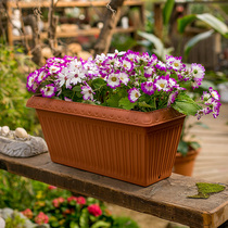 Alice IRIS Japan padded ceramic plastic large rectangular flower potted flower pot pot balcony planting vegetables