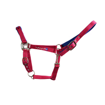 Bridle bridle lead bridle training bridle embroidery bridle harness horse and horse harness