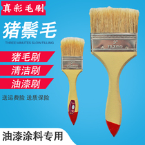 Hair brush paint brush industrial household pig hair brush long handle latex paint paint glue barbecue brush pig hair brush