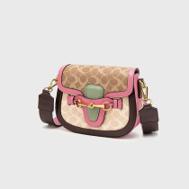 Shanghai new spring and summer niche cross-body cross-body giant beautiful Super like small cute fashion bloggers must enter the personality