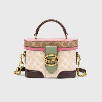 2021 New Fashion High Texture Recommended Grass New Fashion Car Standard Shoulder Hand Makeup Pet Bag