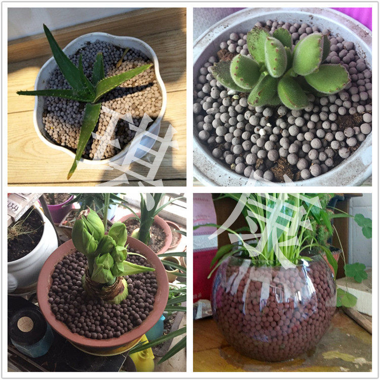【陶粒】陶粒球陶碳负离子无土栽多肉植物盆栽景水培花卉装饰覆盖