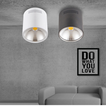 Surface mounted downlight led hanging wire small ceiling light Nordic living room spotlight ceiling light Corridor light Aisle light Free opening