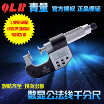 Qinghai measuring tool green digital display electronic straight-in public law micrometer 0-25-50mm 230-21-240