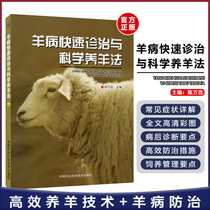 Rapid diagnosis and treatment of sheep disease and scientific sheep raising method (Prevention and Control of sheep disease diagnosis sheep breeding and management of sheep breeding science sheep raising to prevent sheep disease)