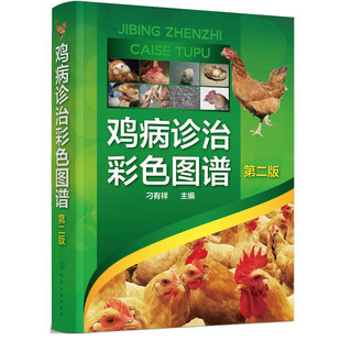 color atlas of diagnosis and treatment of chien diseases (second edition) color atlas of diagnosis and treatment of common diseases of chien