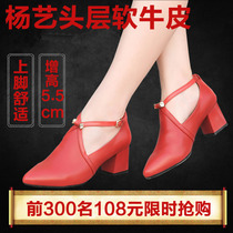 Square friendship with high heel modern dance shoes soft bottom four seasons square dance shoes adult leather beef tendons