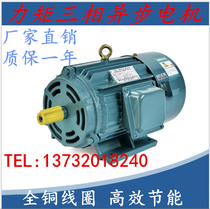YLJ three-phase torque motor winding and blowing film take-up machine winding machine speed asynchronous AC copper wire motor 380V