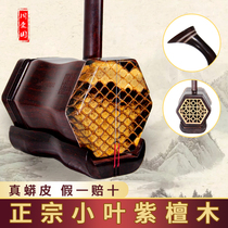 Zhou Aiguo Erhu Indian small leaf red sandalwood factory direct playing professional musical instrument Python Universal can be customized