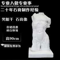 Muscular anatomical male torso plaster like a fine art sketching model statue sculpture plaster like a fine art teaching aid