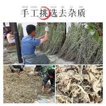 Fresh wormwood leaves eat wormwood tea wormwood leaves dried tea