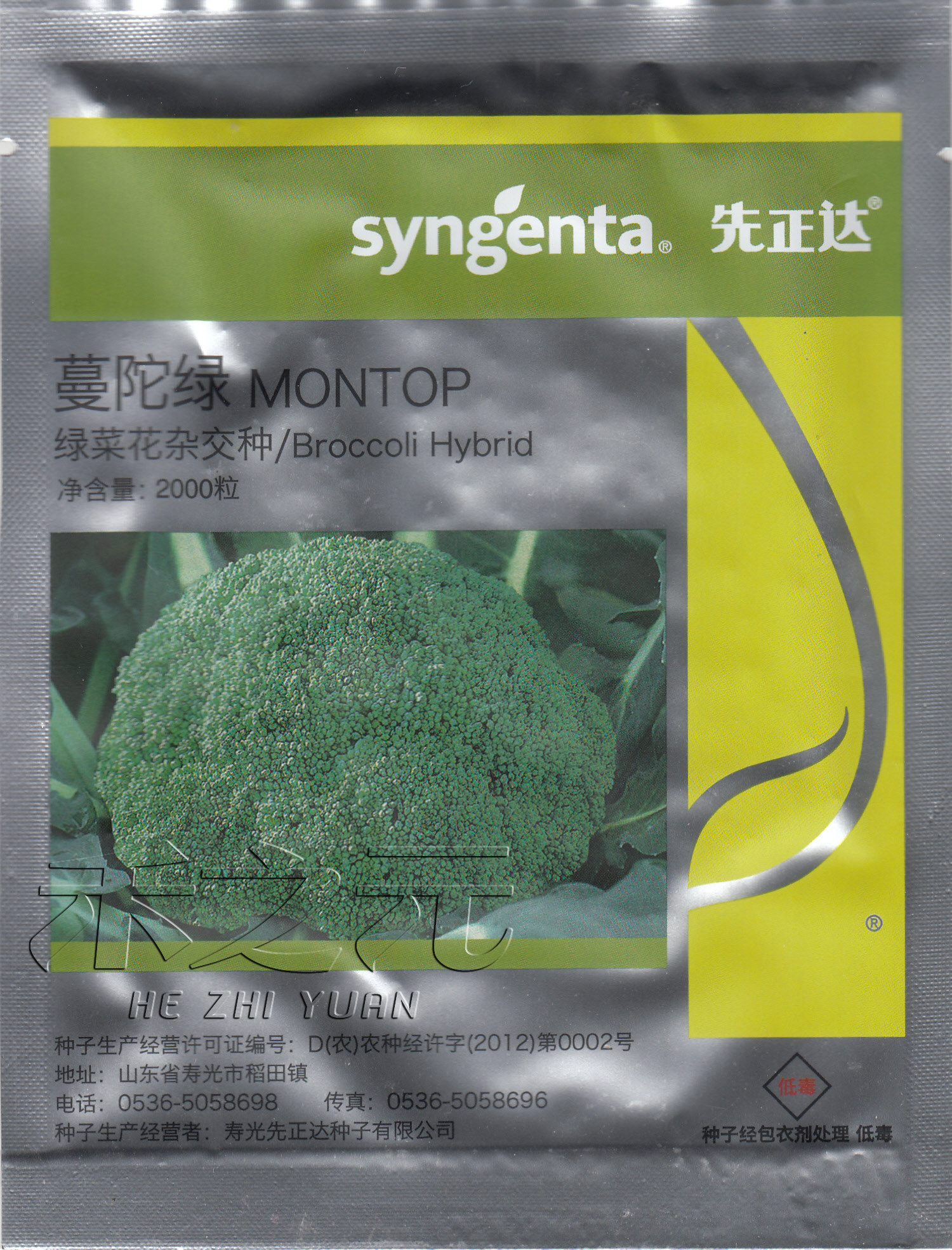 寿光蔬菜种子 先正达西兰花— 蔓陀绿 撒利奥55 春秋中早熟品种r