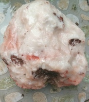 Ning Qiang Coral Jade Fossil White Snow Flower Pattern Original Stone Chite Coarse Grain Boutique Coral (2 Elects W)