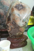 Ningqiang colorful coral jade sea lily pattern stone polished coral worm ornaments strange stone paleontological fossils