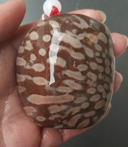 Ning Qiang Coral Jade Fossil with the shape of four-shot grain punctual coral can carve low-priced special price to play the piece W