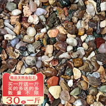 Arashan Gobi Wall Agnauchi Stone buy a catty of a catty of natural raw stone fish tank stone multimeat bonsai with a view stone