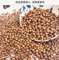 Imported maple beans quality flower peas young pigeon food pigeon peas pigeon feed hemp beans 500 gr a piece